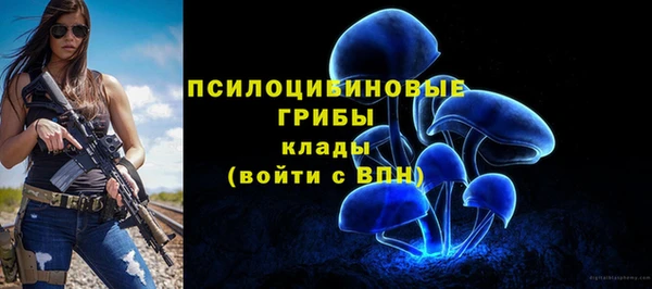 стаф Бородино